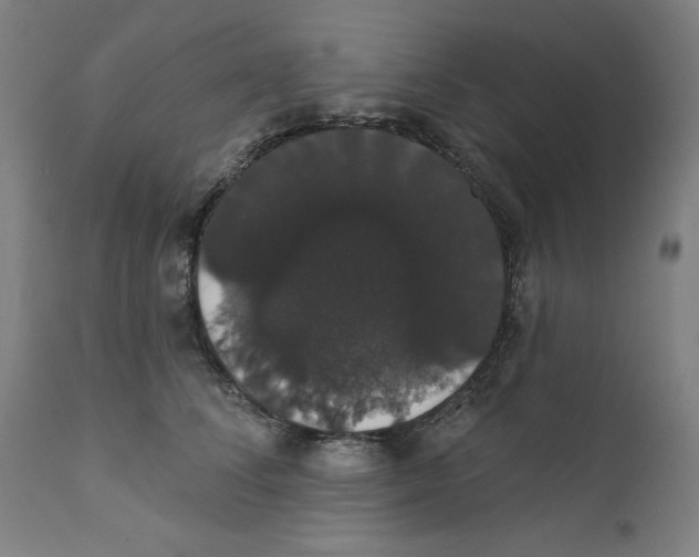 X0000111520708200908111202