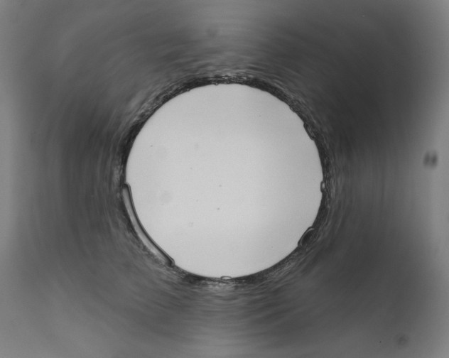 X0000111520709200908111202