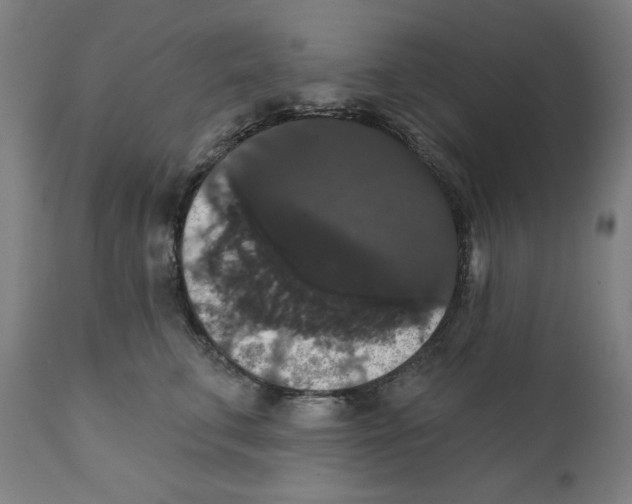 X0000111520711200908111202
