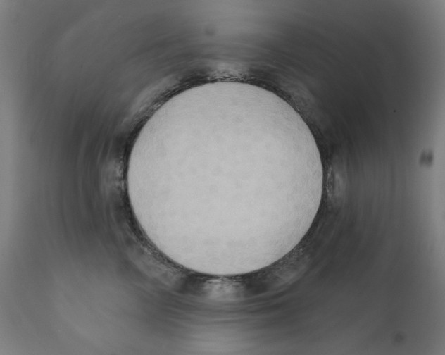 X0000111520714200908111202