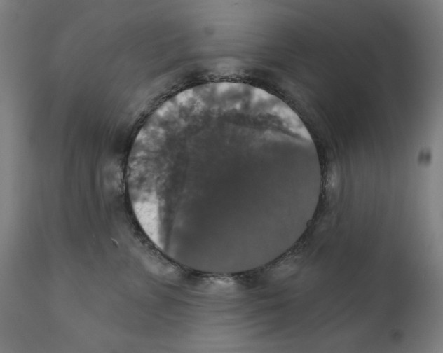 X0000111520715200908111202