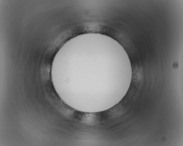 X0000111520717200908111202