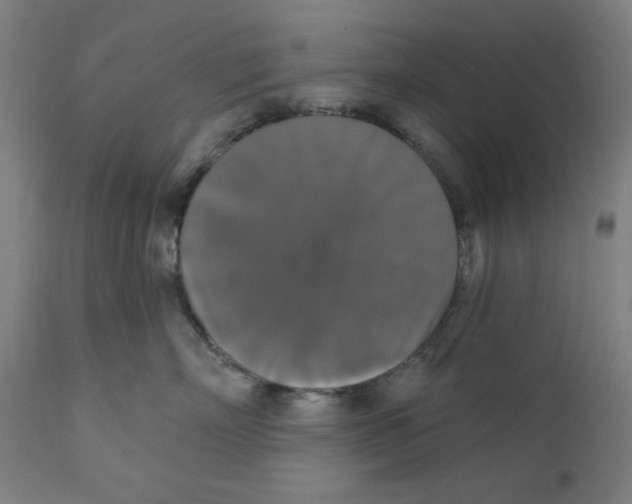 X0000111520718200908111202