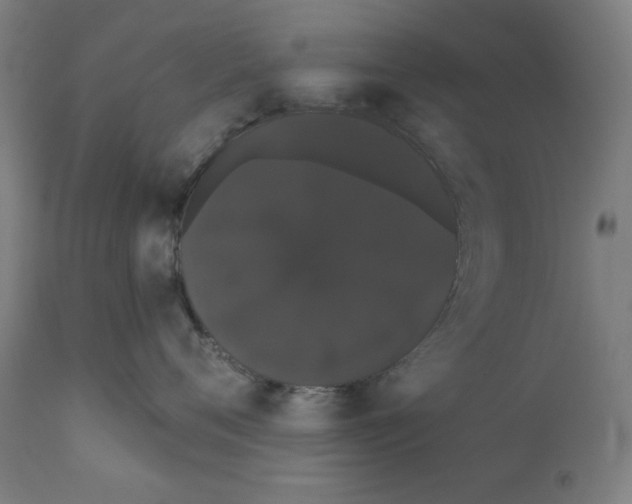 X0000111520720200908111202