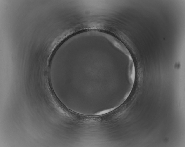 X0000111520721200908111202