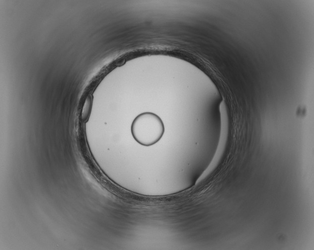 X0000111520726200908111202