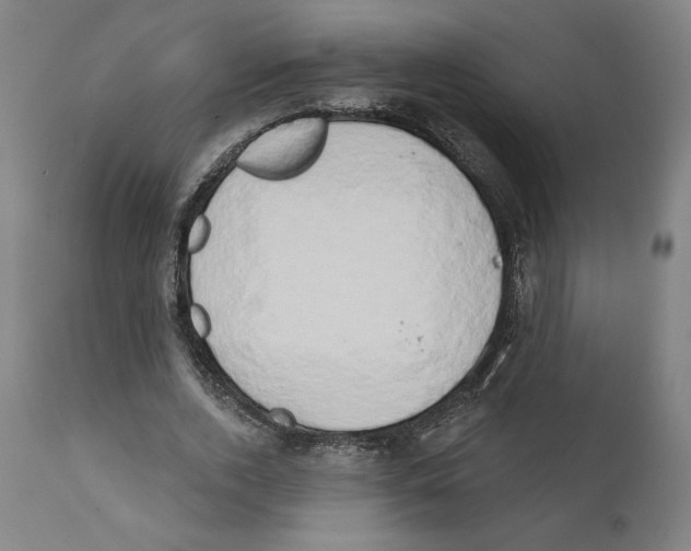 X0000111520728200908111202