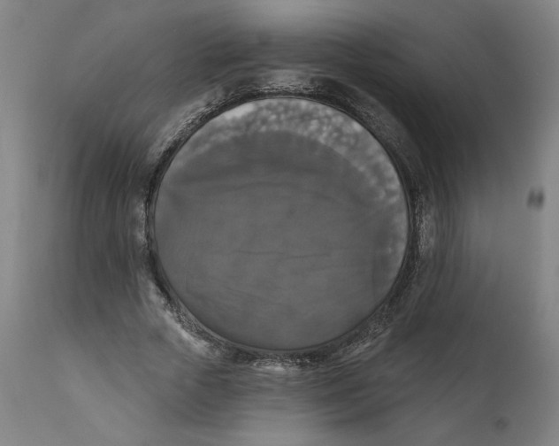 X0000111520729200908111202