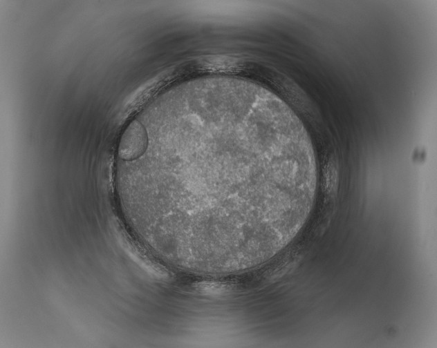 X0000111520733200908111202