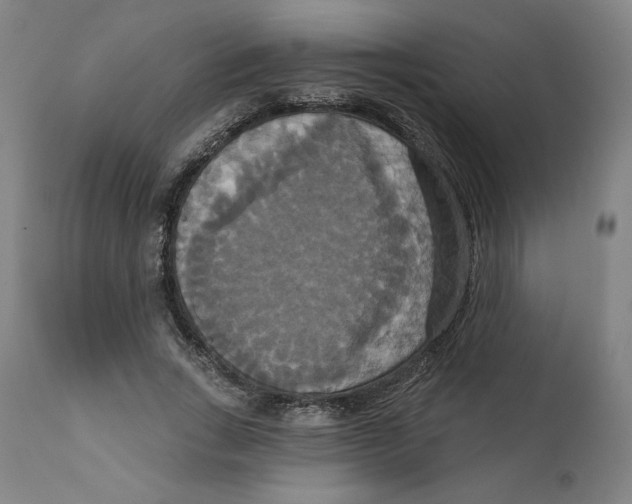 X0000111520735200908111202