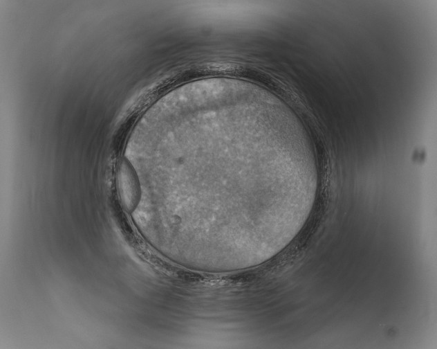 X0000111520736200908111202