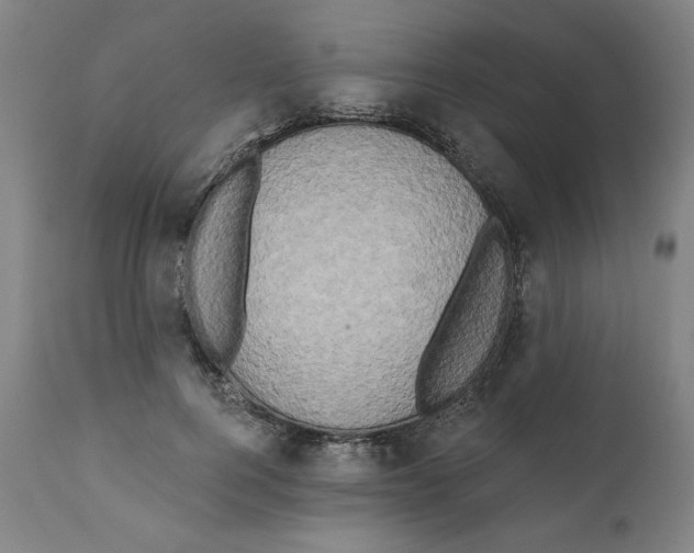 X0000111520744200908111202