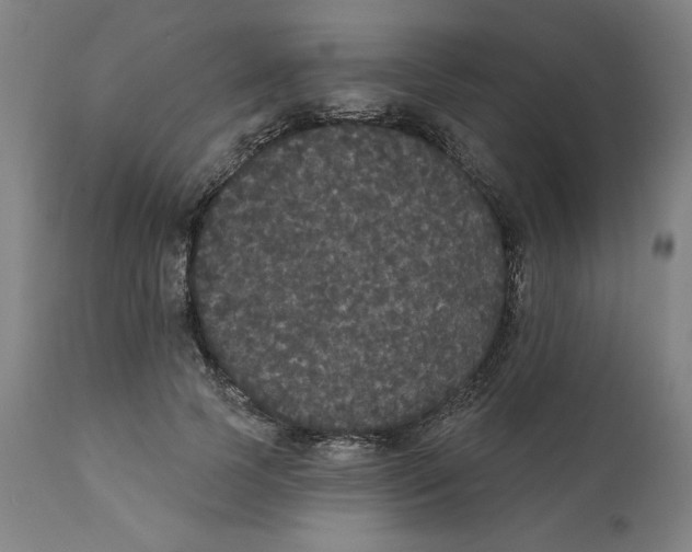 X0000111520745200908111202