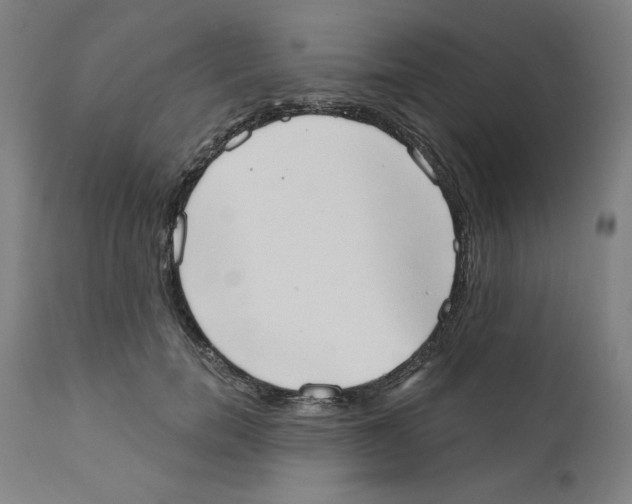 X0000111520750200908111202