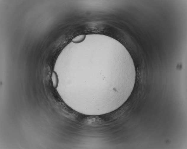 X0000111520752200908111202