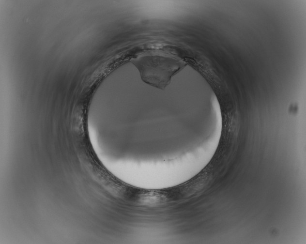 X0000111520754200908111202