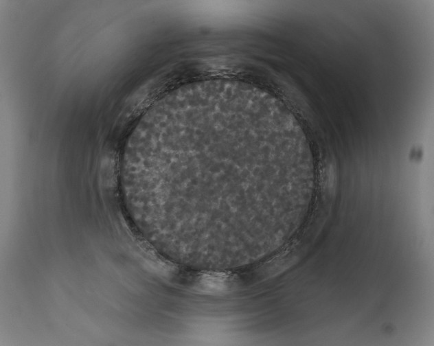 X0000111520757200908111202