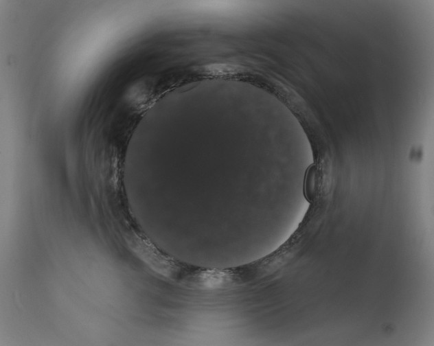 X0000111520762200908111202