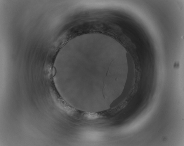 X0000111520767200908111202