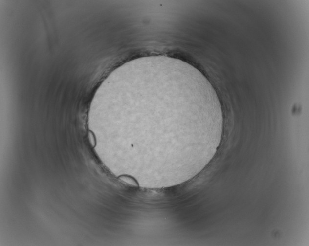 X0000111520768200908111202