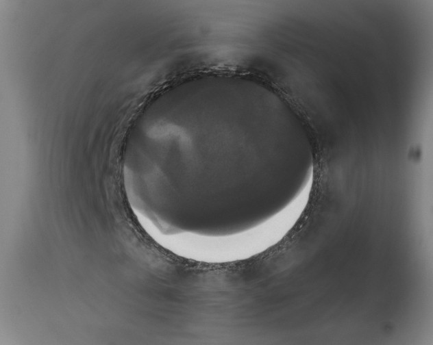 X0000111520769200908111202