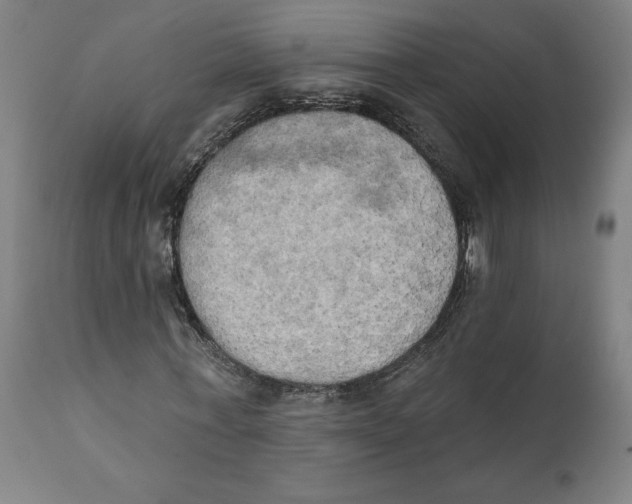 X0000111520771200908111202