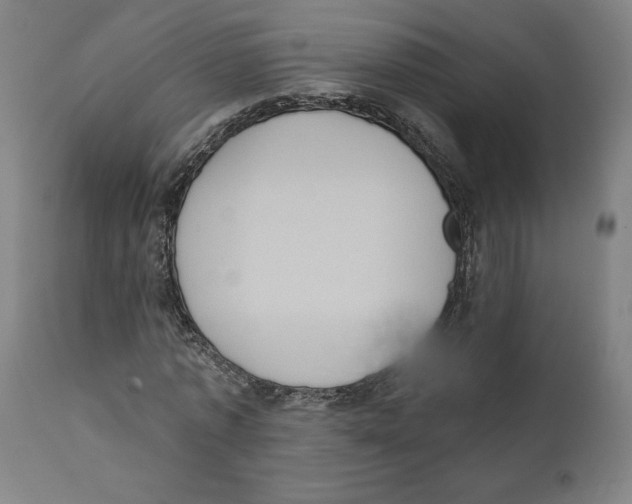 X0000111520773200908111202