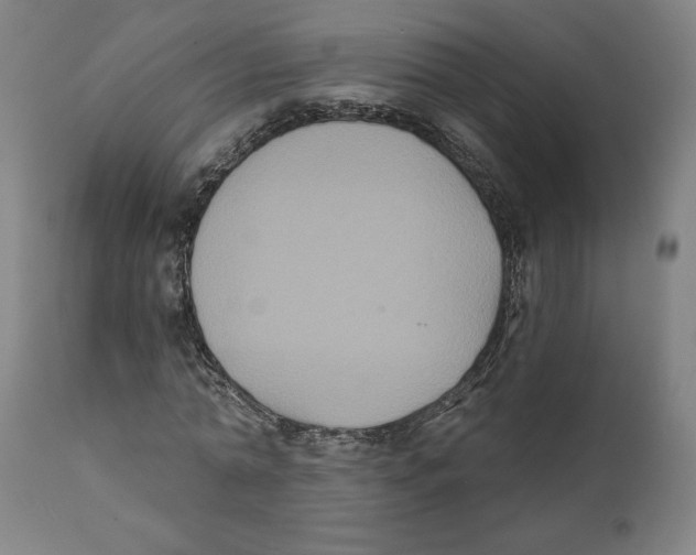 X0000111520774200908111202