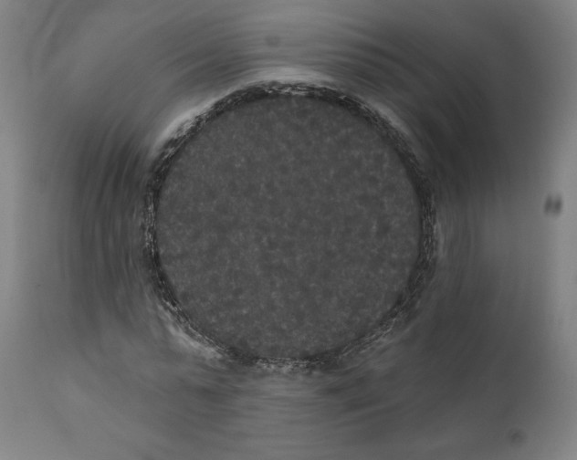 X0000111520775200908111201