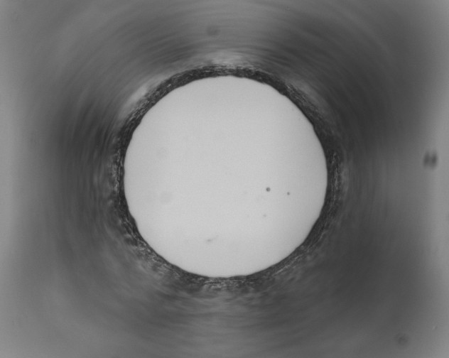 X0000111520776200908111201