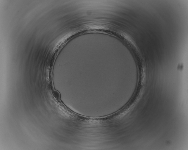 X0000111520777200908111201