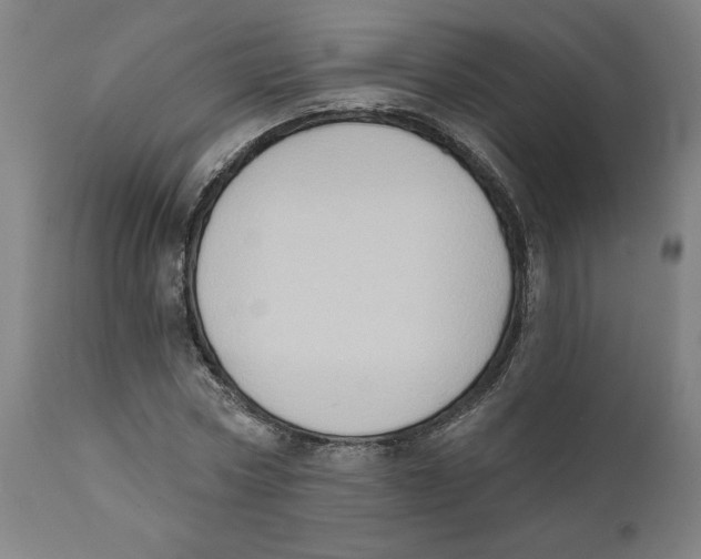 X0000111520778200908111201