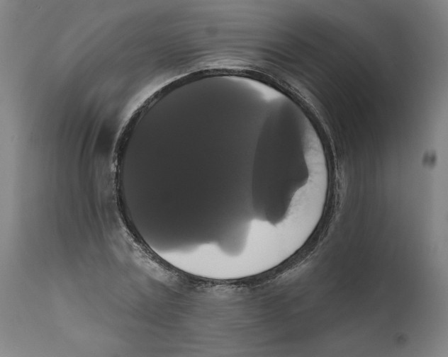 X0000111520779200908111201