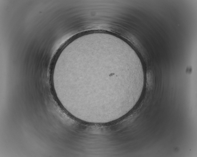 X0000111520780200908111201