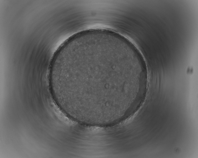 X0000111520783200908111201