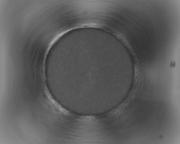 X0000111520784200908111201