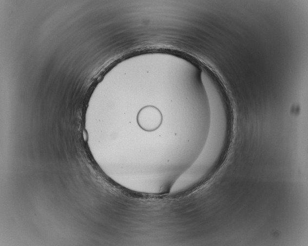 X0000111520785200908111201