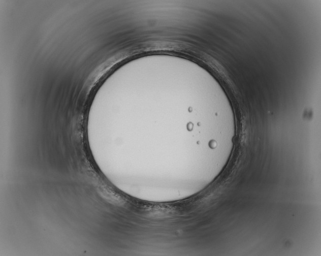 X0000111520786200908111201