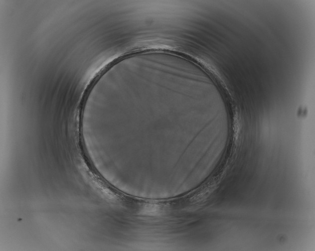 X0000111520790200908111201