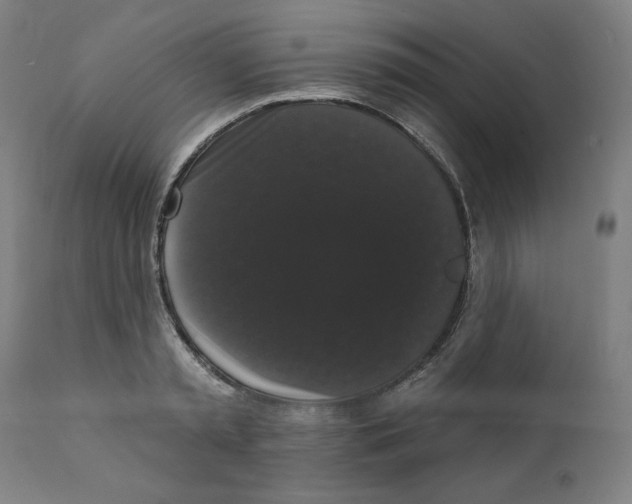 X0000111520797200908111201