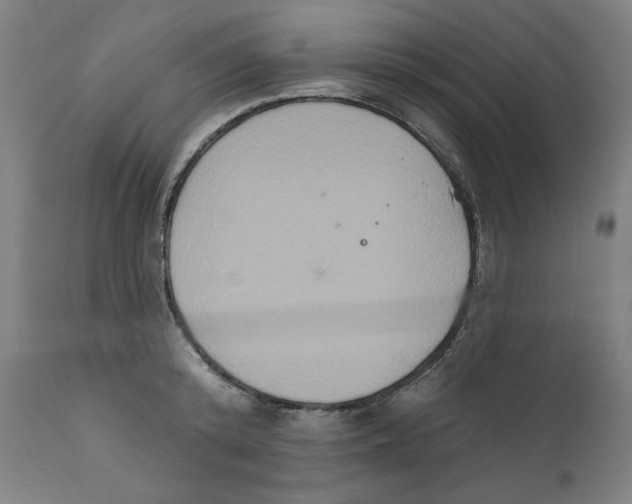 X0000111520800200908111201