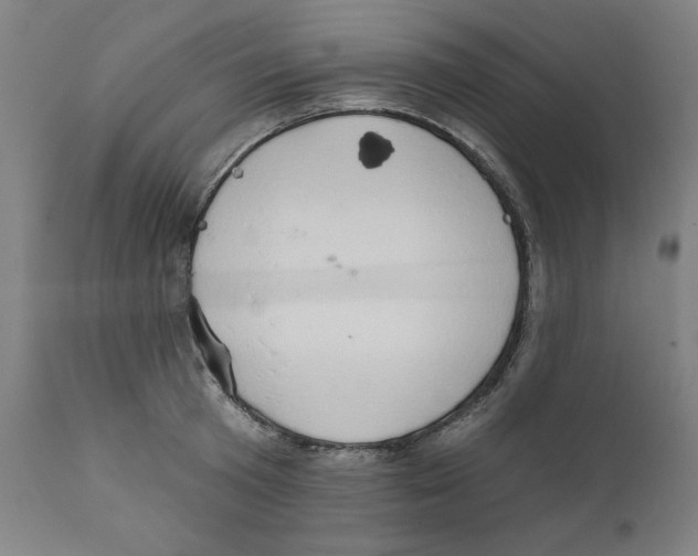 X0000111520801200908111201