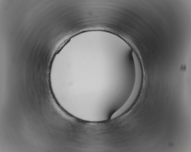 X0000111520805200908111201