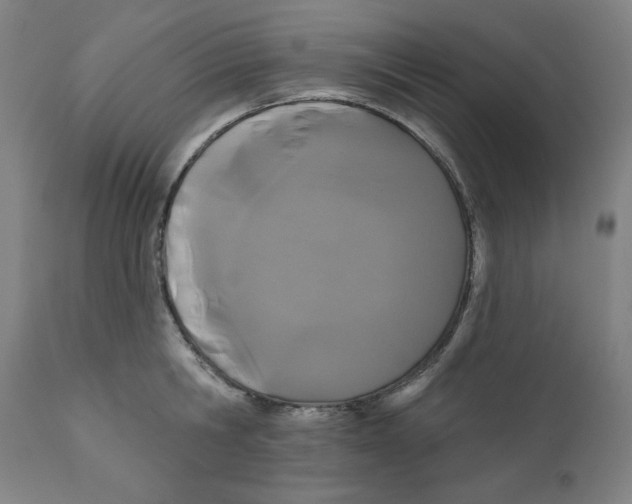 X0000111520806200908111201