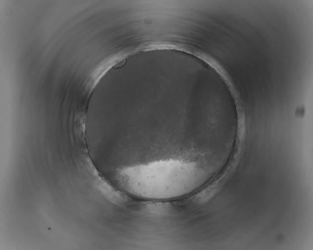 X0000111520809200908111201