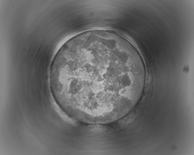 X0000111520811200908111201