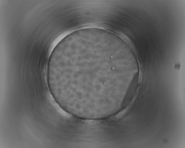 X0000111520812200908111201
