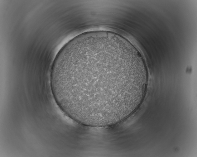 X0000111520813200908111201