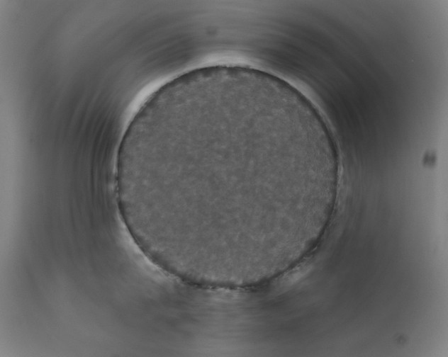 X0000111520815200908111201
