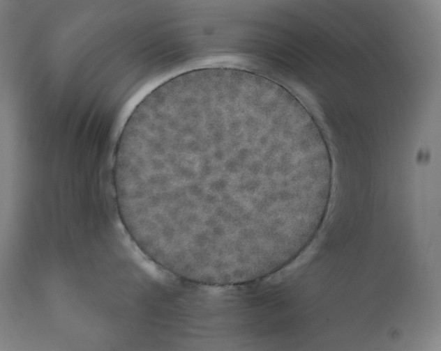 X0000111520816200908111201